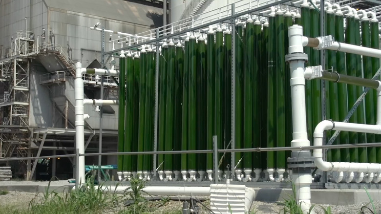 кадр из фильма Green Grey Black Brown