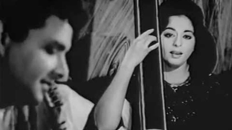 кадр из фильма Mousiqar