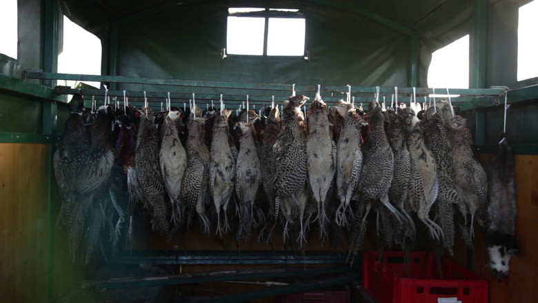 кадр из фильма Lovu zdar!