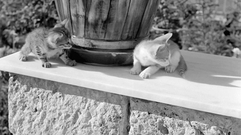 кадр из фильма Γαμήλιες περιπέτειες