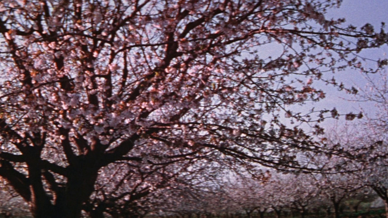 кадр из фильма Жажда жизни