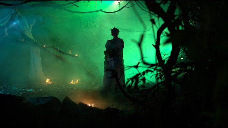 кадр из фильма O Bosque dos Sonâmbulos