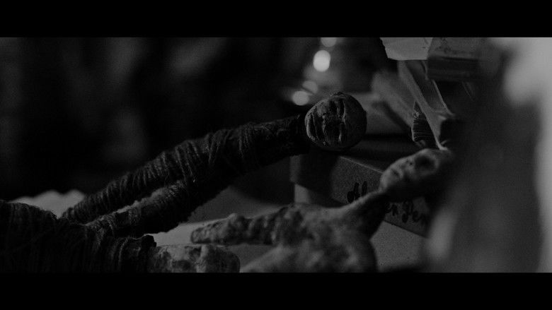кадр из фильма Déjà Voodoo