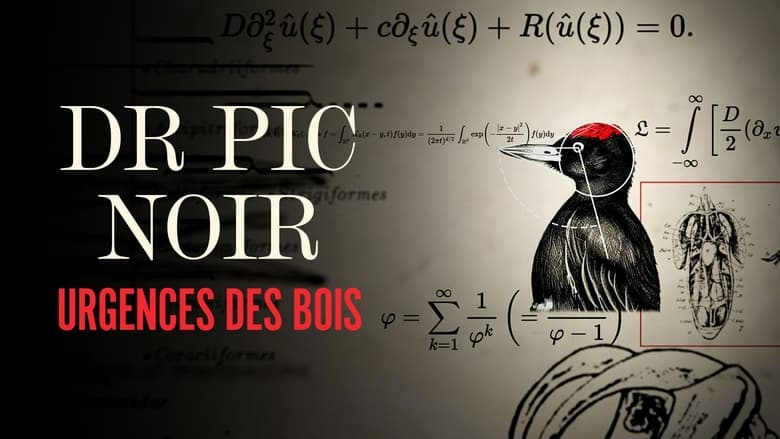 кадр из фильма Dr Pic Noir, urgence des bois