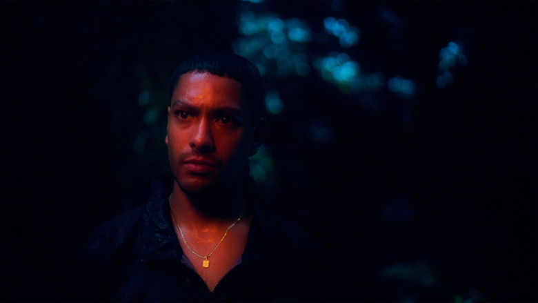 кадр из фильма Una noche en la montaña escuché una luz rugir