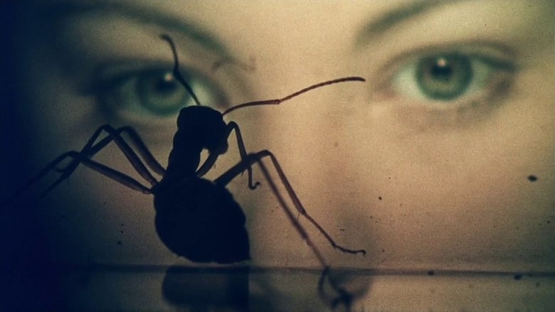 кадр из фильма Фаза 4