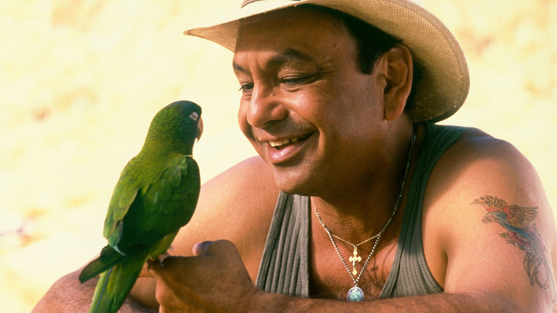 кадр из фильма Поли