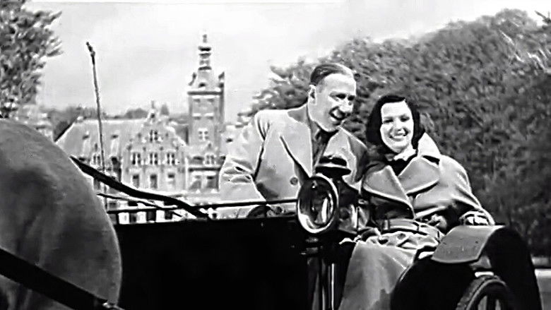 кадр из фильма De kribbebijter