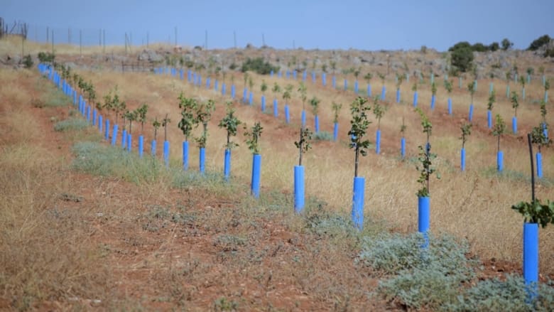 кадр из фильма Azul la mancha