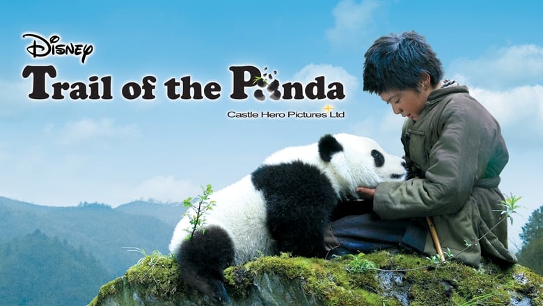 кадр из фильма 熊猫回家路
