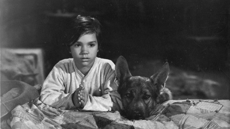 кадр из фильма Sign of the Wolf