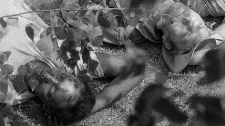 кадр из фильма Jagdpartie