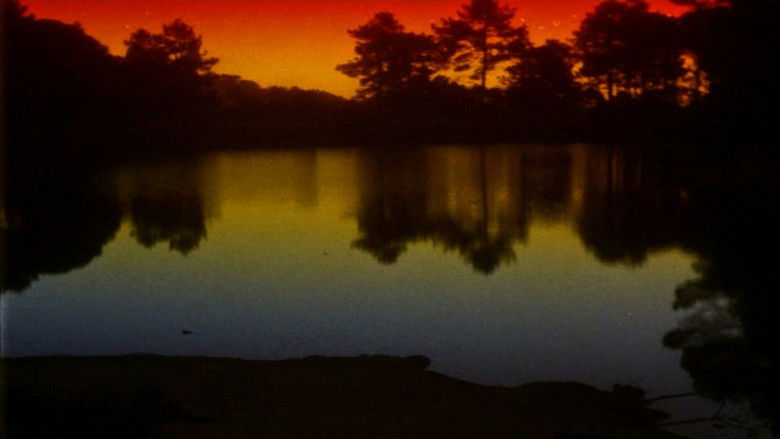 кадр из фильма O Território