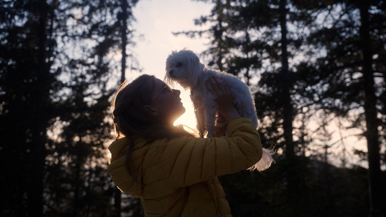 кадр из фильма Salto, Pus og den døde fisken