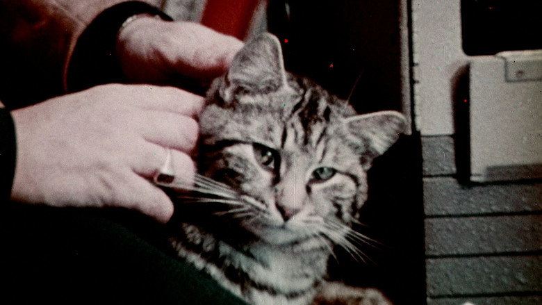 кадр из фильма The Fun House