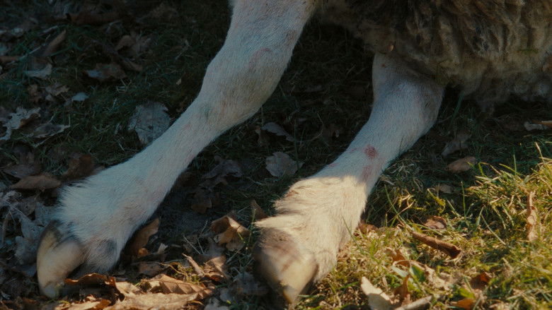 кадр из фильма Schaap