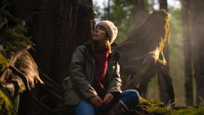 кадр из фильма The Island Between Tides