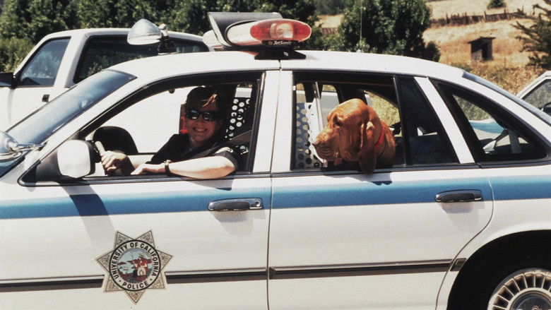 кадр из фильма Missing