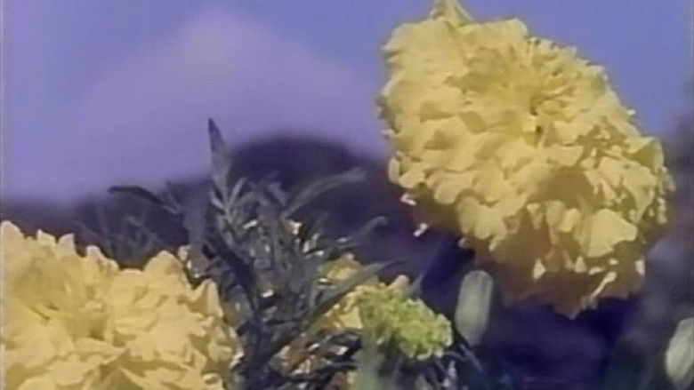 кадр из фильма やわらかい肌