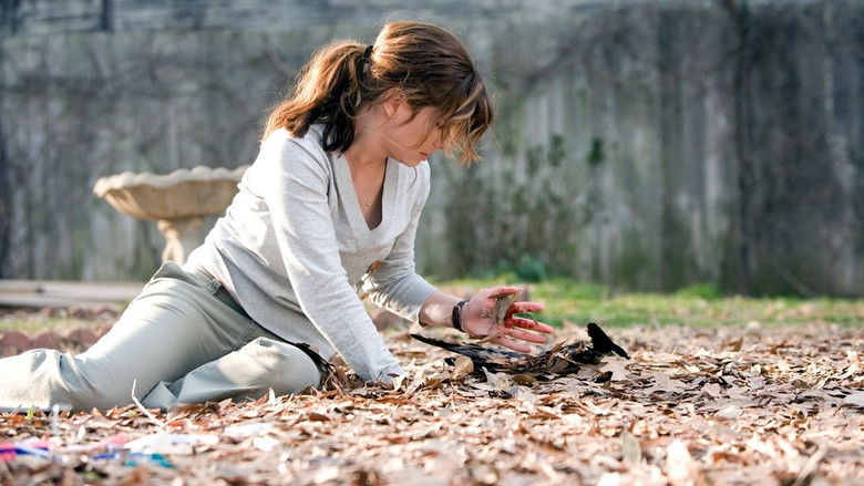 кадр из фильма Предчувствие