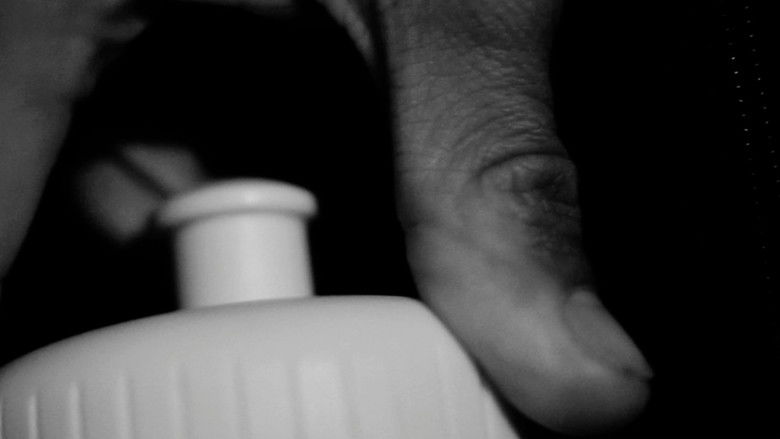 кадр из фильма the forest of great mystery and emptiness