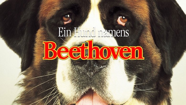 кадр из фильма Бетховен