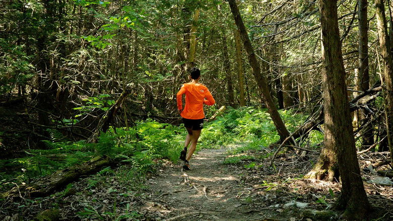 кадр из фильма Caribou