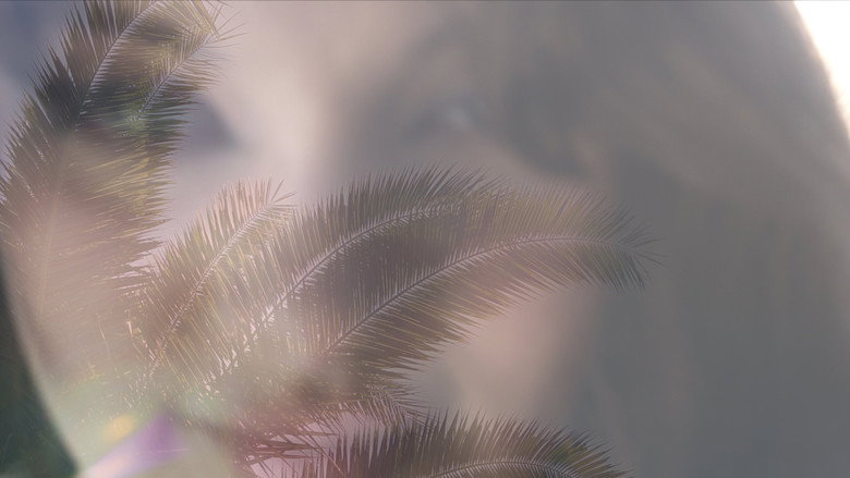кадр из фильма Some Palm Trees Are Taller Than Others