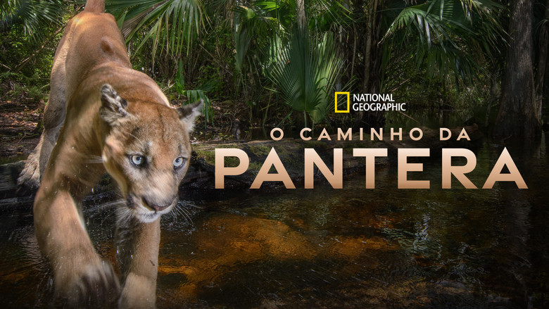 кадр из фильма Путь пантеры