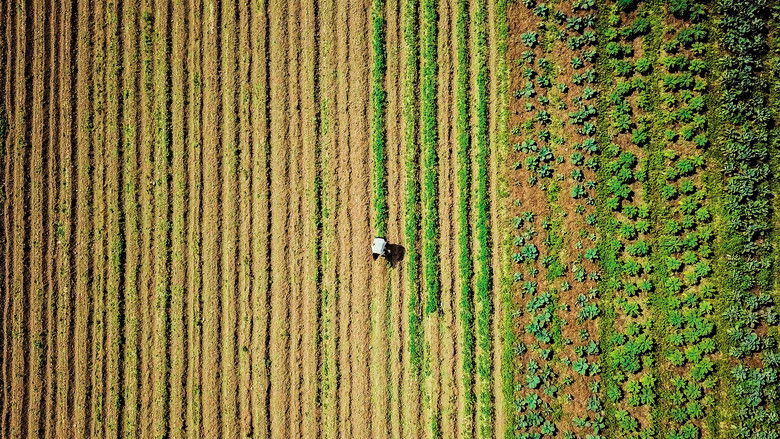 кадр из фильма Unser Boden, unser Erbe