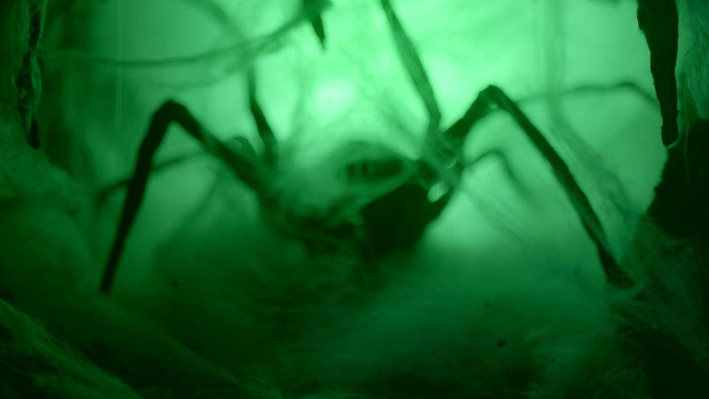 кадр из фильма Quintaesencia