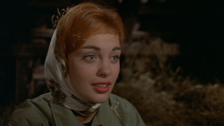 кадр из фильма Komtessen