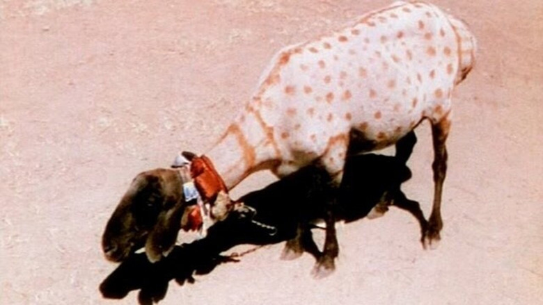 кадр из фильма A Road in India