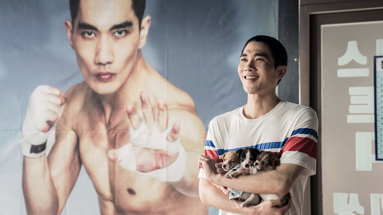 кадр из фильма Отбитый боксёр