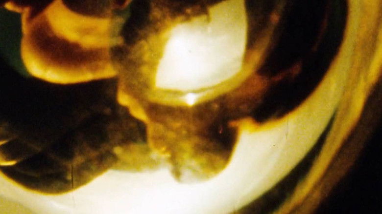 кадр из фильма Maternal Filigree