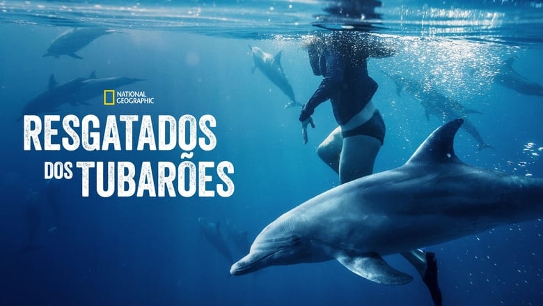 кадр из фильма Спасённые от акул