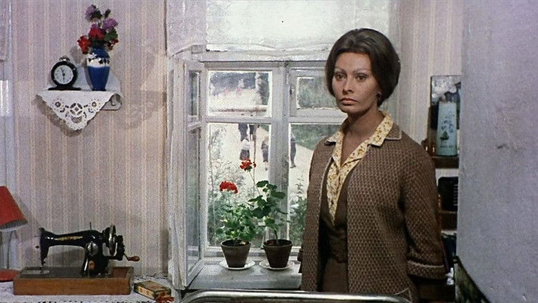 кадр из фильма Подсолнухи