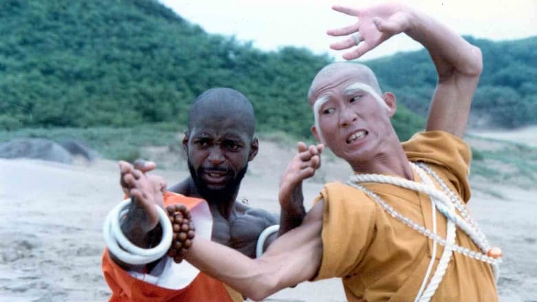 кадр из фильма Shaolin Dolemite