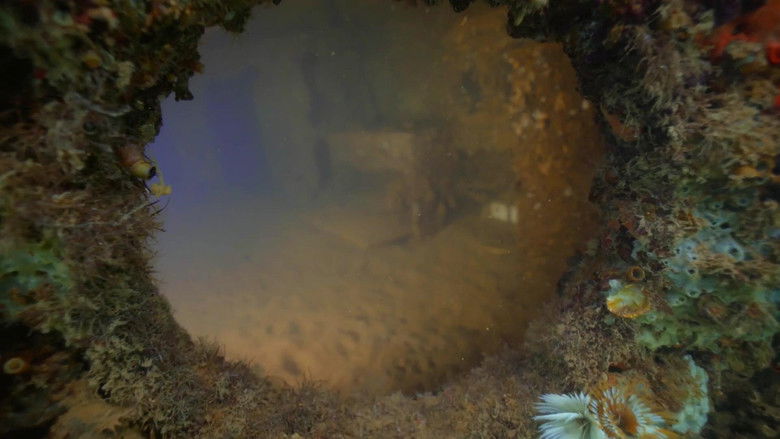 кадр из фильма Pearl Harbor: Into the Arizona