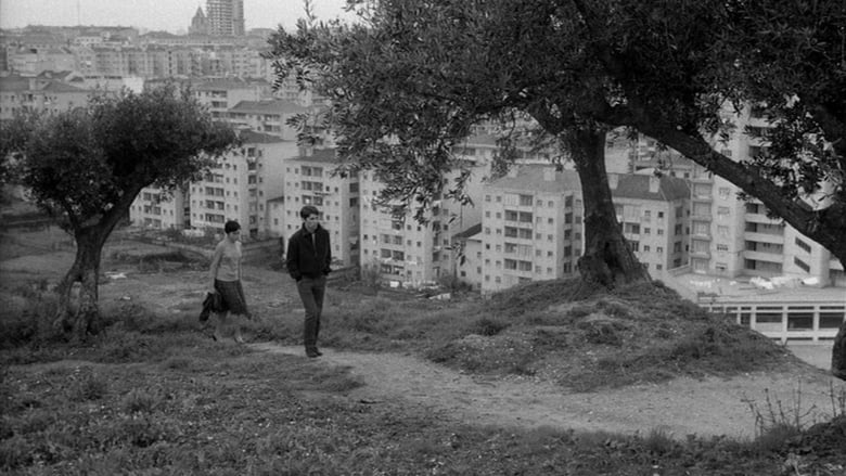 кадр из фильма Os Verdes Anos