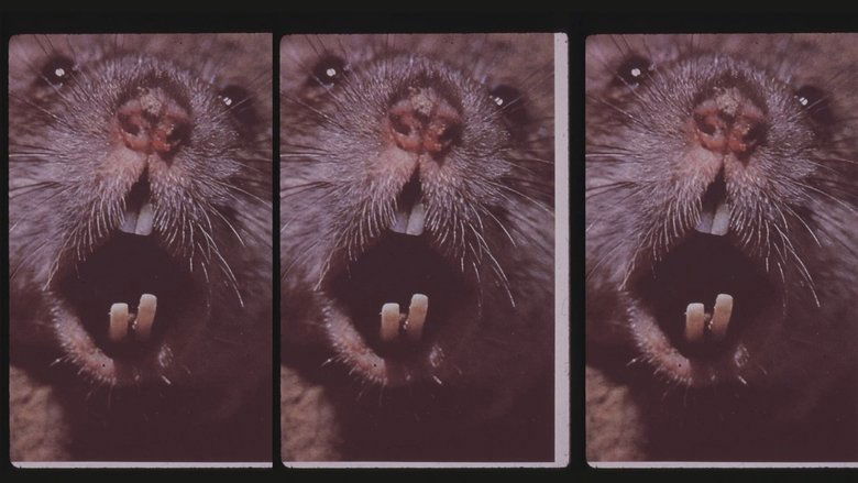 кадр из фильма Living Without Menace