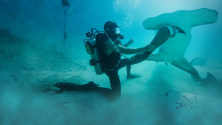 кадр из фильма Man vs. Shark