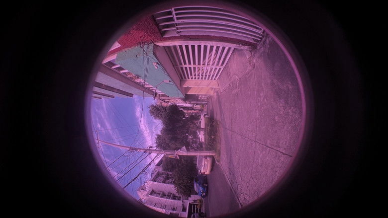 кадр из фильма Pez Dorado