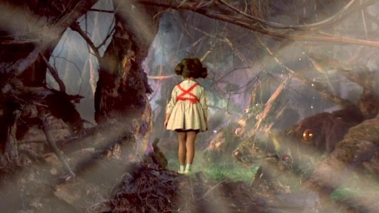 Вероника возвращается