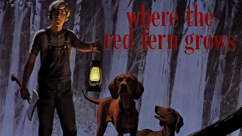 кадр из фильма Where the Red Fern Grows