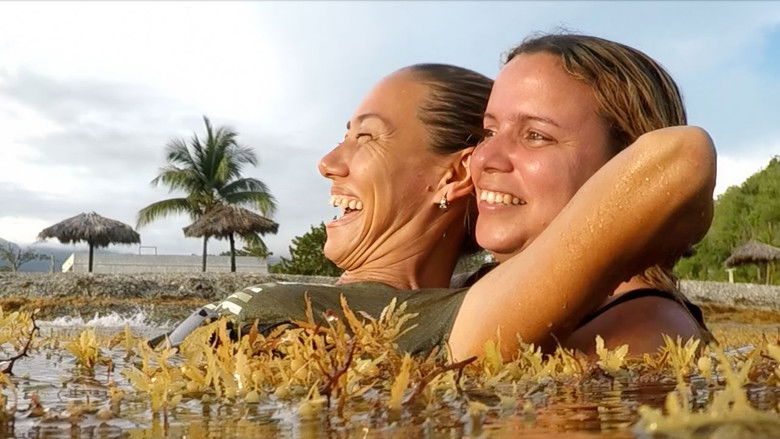 кадр из фильма ¡Quba!