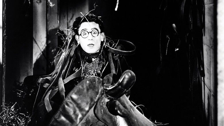 Бабушкин внучек