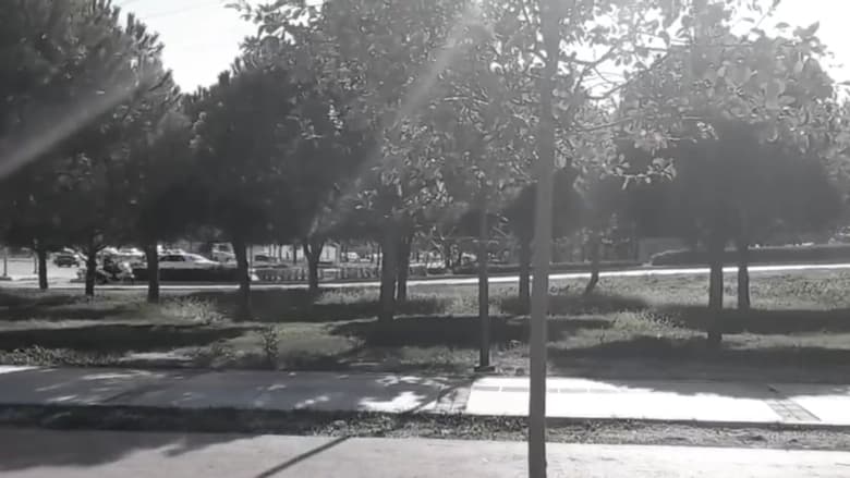 кадр из фильма Mercan: Skate King