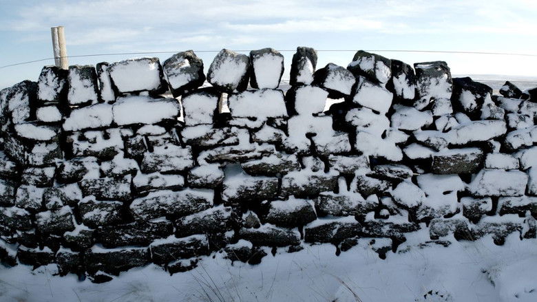 кадр из фильма The Zen Art of Stone Squeezing