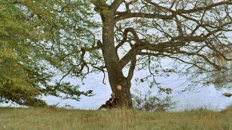 кадр из фильма Эмигранты